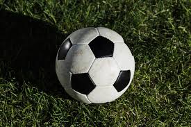 竞彩买量分析数据图表展示